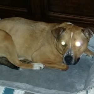 Meet your Posher, Don